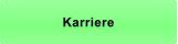 Karriere